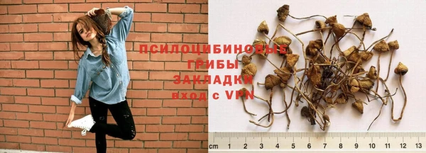 дурь Мурманск