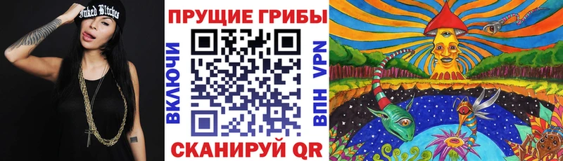 kraken как войти  где найти наркотики  Ртищево  Галлюциногенные грибы Psilocybine cubensis 